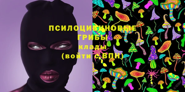 молекула духа Баксан