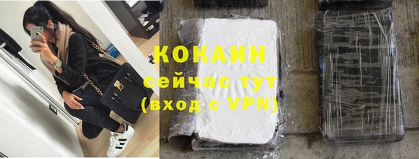 амф Пересвет